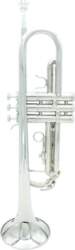 Trompete Bb B Flat Brass Exquisite