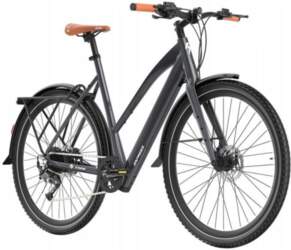 Véhicule électrique - FAFREES - F700M