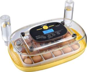 24 Egg Incubator, Automatic Egg Turner