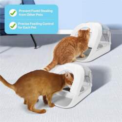 Discount Front Cover For Microchip Pet