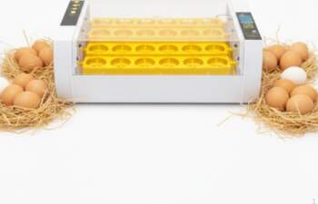 Egg Hatcher Digital Display with Transparent
