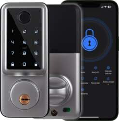 Electronic lock with A1 TTLock insert