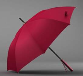 High-end Goddess Automatic Long Handle Umbrella