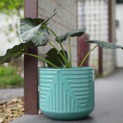 Large Ceramic Flower Pot diameter 42