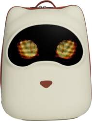 LOY LED Screen Backpack APP Control