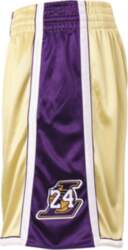 Mitchell & Ness NBA Authentic Hall