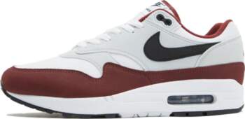 Nike Air Max 1 `Dark Team