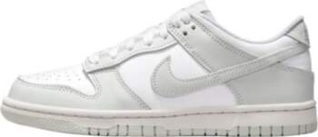 Nike Dunk Low GS Photon Dust