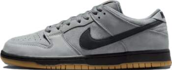 Nike Dunk Low Pro SB Cool