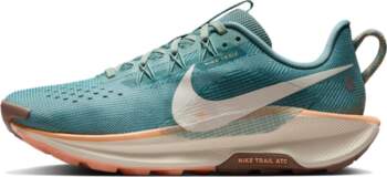 Nike React Pegasus Trail 5 Cannon