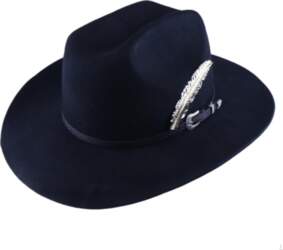 Wool Hat Wide Brim with Feather