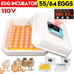 53 * 53cm Brooder Farm Hatchery