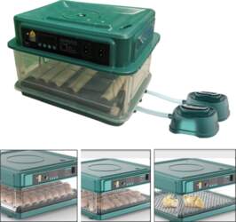 Automatic Egg Incubator LED Display Chick
