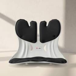 BKT Lumbar Support Cushion, Posture Corrector
