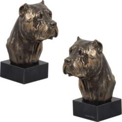 Cane Corso, itāļu Cane Corso —