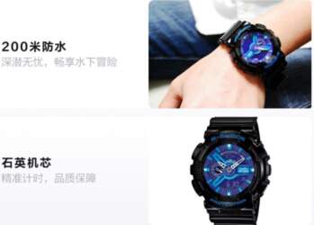 CASIO LCD/pointer dual display series 200