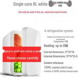 Compact Dual-Use Mini Fridge for Home