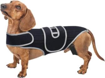 Dog Back Support Brace Relieves IVDD
