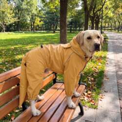 Full Coverage Waterproof Dog Raincoat Large