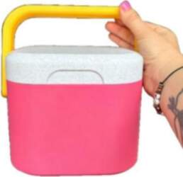 Insulated Portable Cooler With Handle Mini