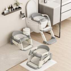 Kids Potty Training Seat With Steps