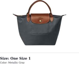 LONGCHAMP Le Pliage Small Dumpling Bag