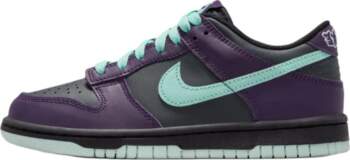 Nike Dunk Low (GS)    Burvis    FB9109-013