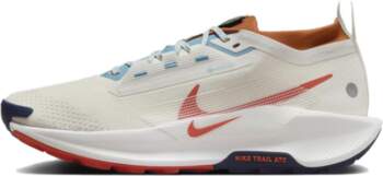 Nike React Pegasus Trail 5 Gore