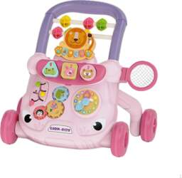 Push Walking Activity Center Educational Sit