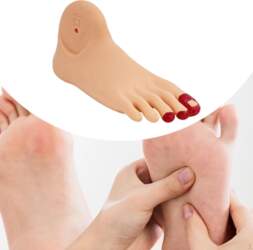Simulation Model Diabetes Foot Detailed Structure