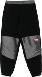 THE NORTH FACE Denali Logo patch