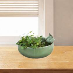 10 inch Large Planter Flower Pot