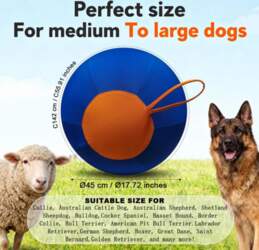 45CM PVC Interactive Herding Ball for