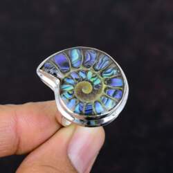 Abalone shell in ammonite doublet opal