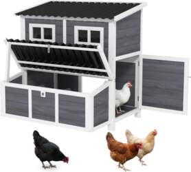 Chicken coop with nesting box for