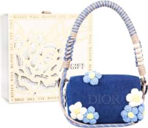 DIOR [Customized Cosmetic Bag] Canvas Spring