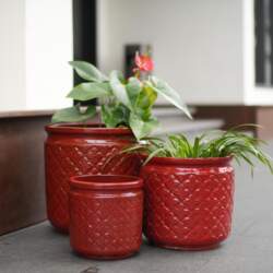 Handmade Ceramic Plant Pot Set, 3-Piece