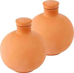 Large Capacity 1000ml Automatic Watering Vessel