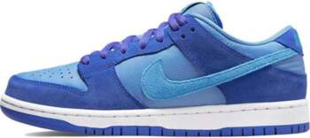 Nike Dunk Low Pro SB Fruity