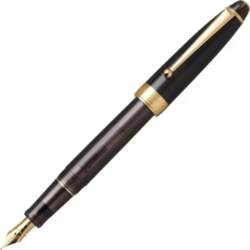 PILOT Custom NS Fountain Medium Adventure