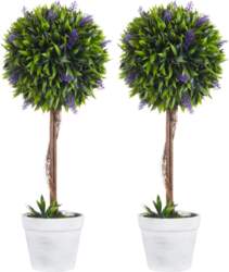 Set of 2 Artificial Plants incl