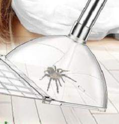 Spider Catchers For Inside 32 Inches