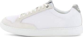 UGG South Bay Sneaker Low Mesh