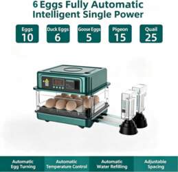 6/48/64 Eggs Fully Automatic Intelligent Double