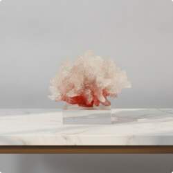 Coral Sculpture with Acrylic Base Tabletop