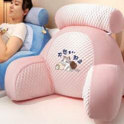 Double Headed Pillow  Comfortable Reading Bag