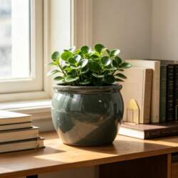 Handmade Ceramic Plant Pot (diameter 23