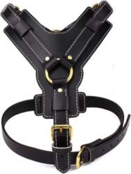 Large Dog Harness With Automatic Retractable