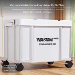 Large Plastic Storage Bins with casters