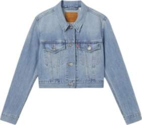 Levis Comfortable Simple Slim Fit Short